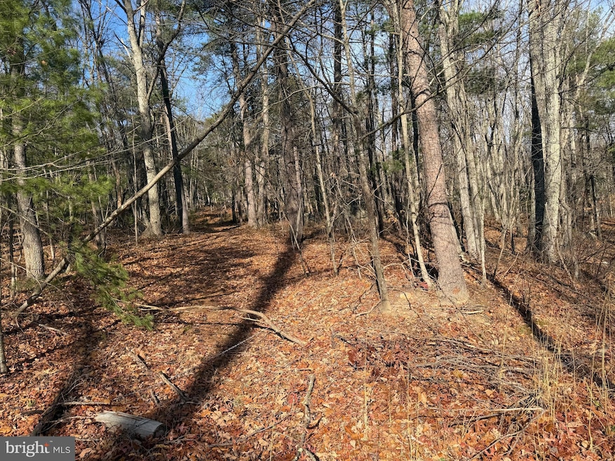 6 Cooper Mountain View Dr, Capon Bridge, WV 26711 - photo 1