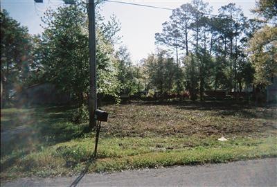 Primary Photo