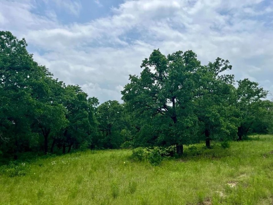 Lot 28 Kilkenny Rd, Poolville, TX 76487 - photo 1