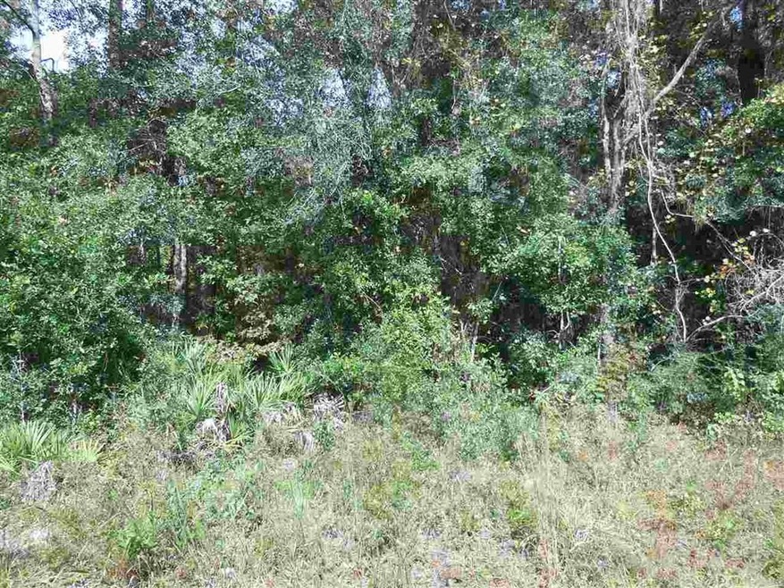 xxx Paulette Dr unit 5, Crawfordville, FL 32327 - photo 1