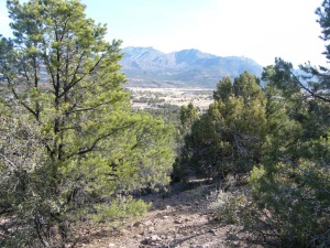 434 E Pine View Dr Wooded Lot