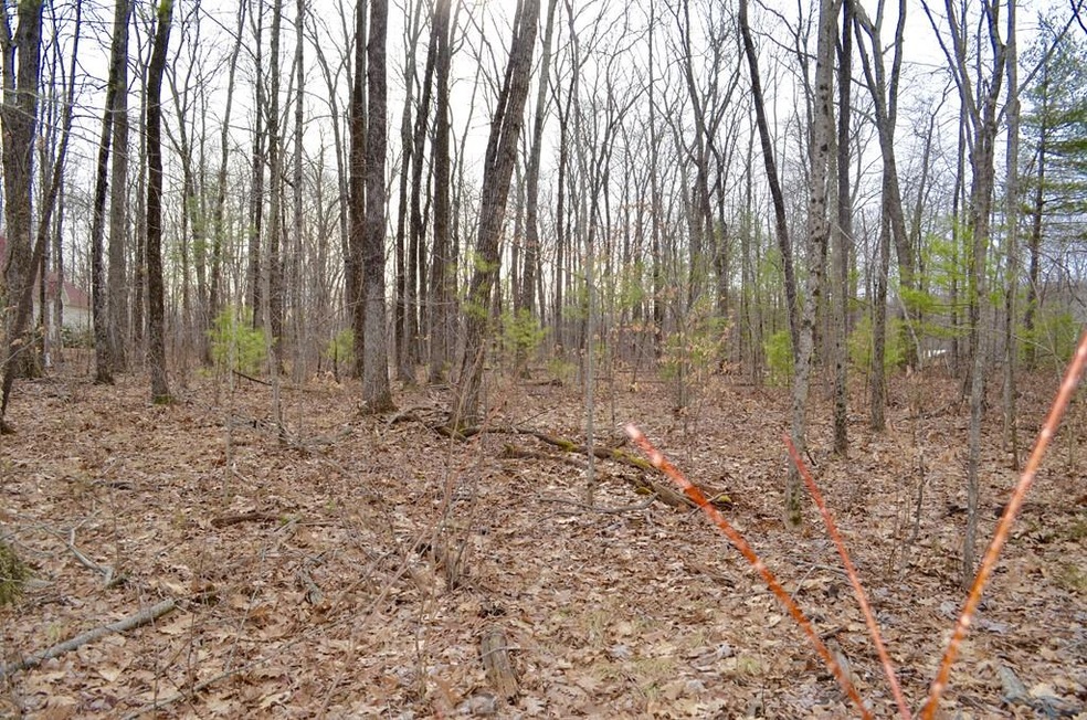 87 Marsh Hill Rd, Brimfield, MA 01010 - photo 1