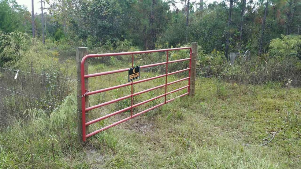 XXX Wakulla Arran Rd, Crawfordville, FL 32327 - photo 1