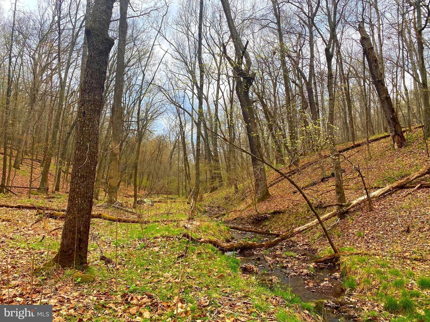 LOT 19 SEC 14 High Knob Rd, Old Fields, WV 26845 - photo 1