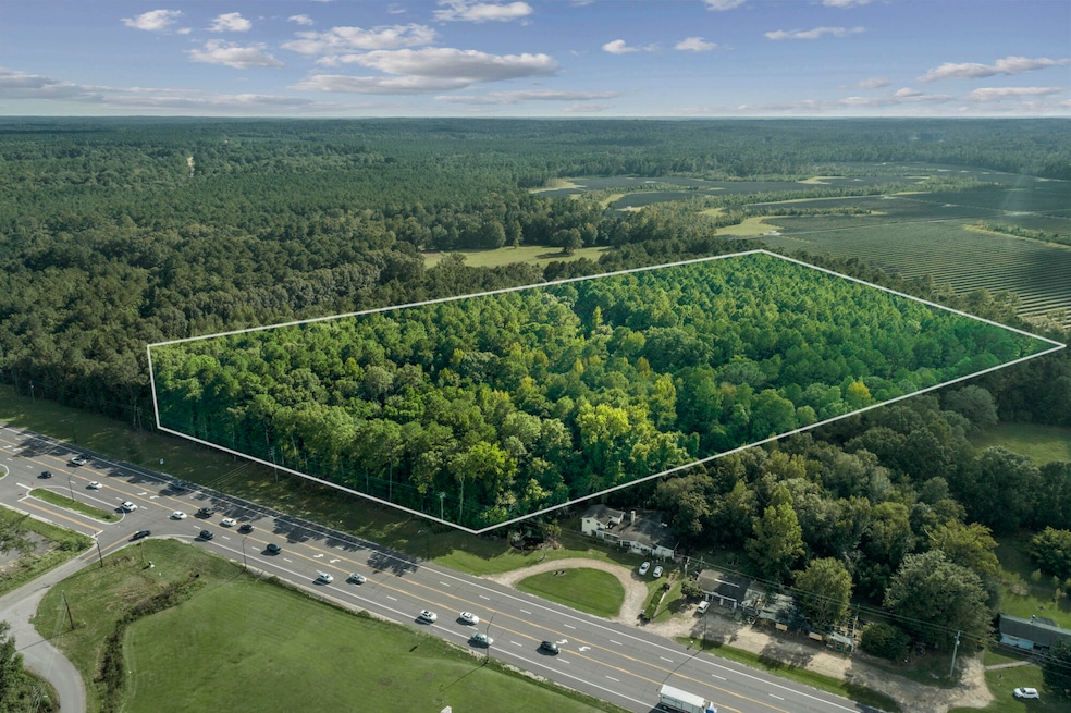 00 U S 49, Hattiesburg, MS 39401 - photo 1