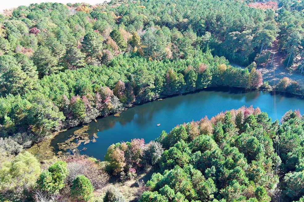 Lot 131 Metompkin Rd unit 131, Parksley, VA 23421 - photo 1