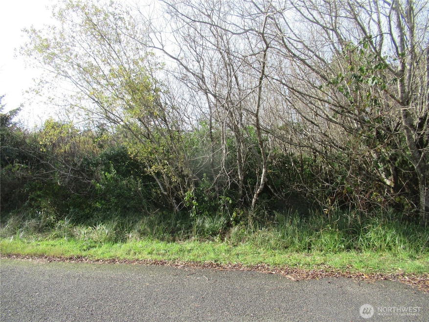 12 Driftwood St, Ocean Shores, WA 98569 - photo 1