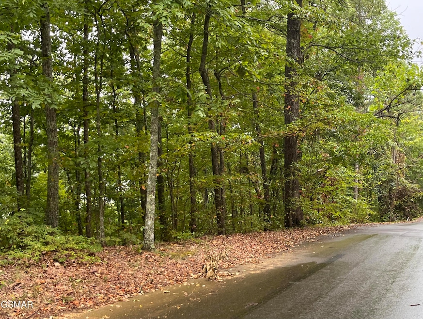 Sawmill Branch Acreage