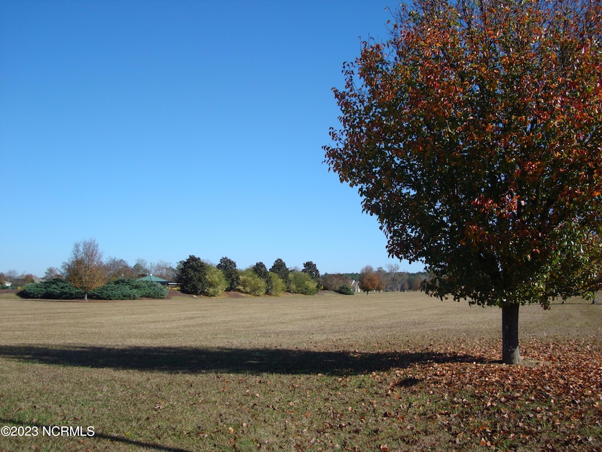 21 Meadow Ln, Arapahoe, NC 28510 - photo 1