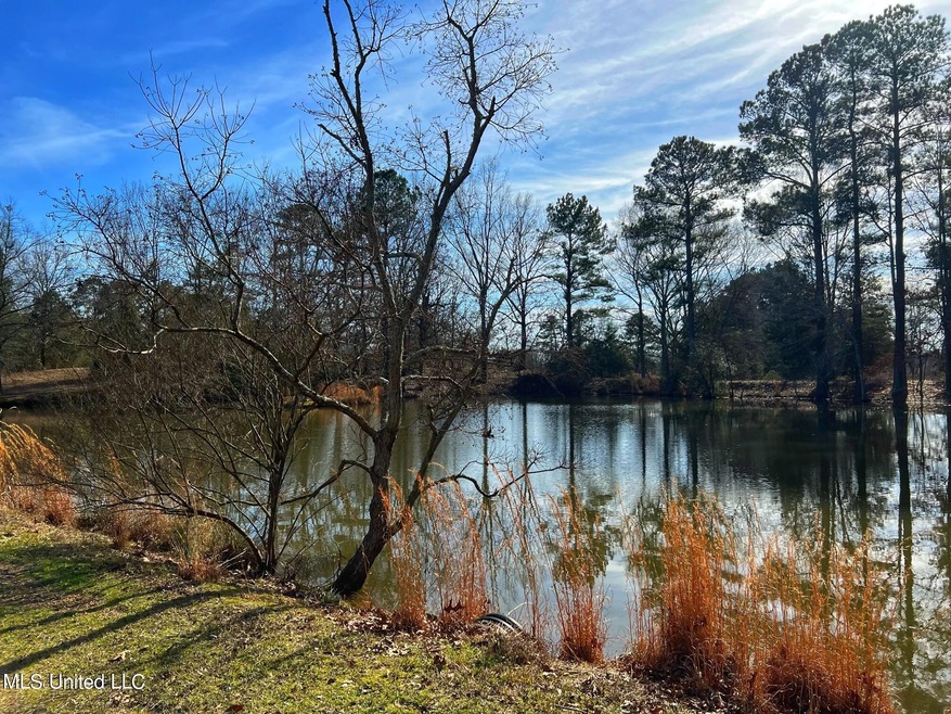 0 Kimbell Rd, Terry, MS 39170 MLS 4029991