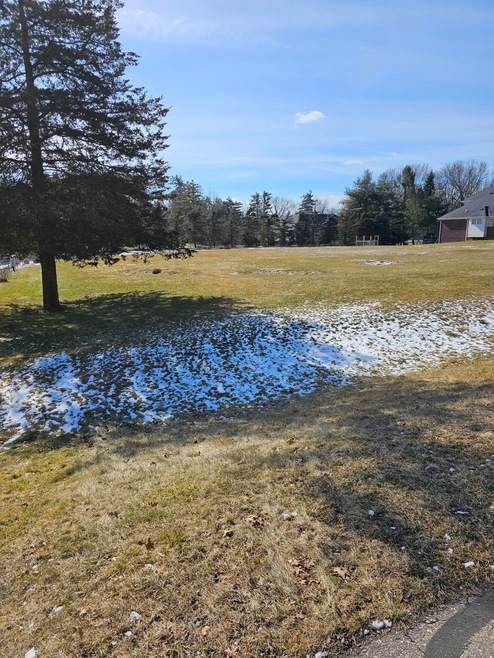 Spruce Pointe