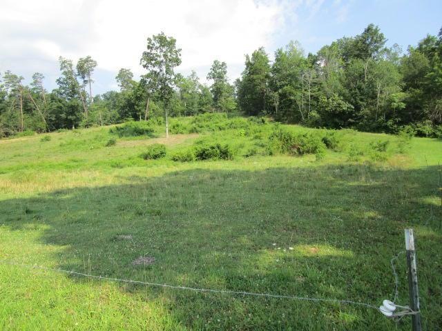 0 Smokey Rd unit 1010665, Rutledge, TN 37861 - photo 1