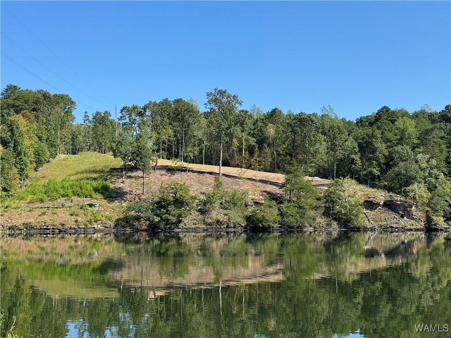 View from Caroll Creek, a tributary of Lake Tuscal