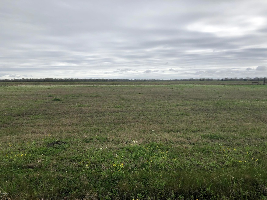 Lot 5 Claude Leblanc Rd, New Iberia, LA 70560 - photo 1