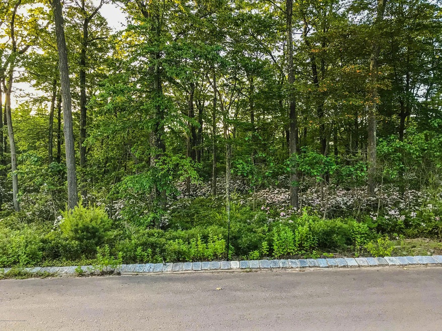 Lot 53 Hampshire Dr, Mount Cobb, PA 18436 - photo 1
