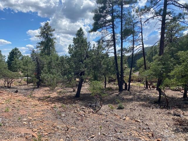 108 W Ruin Hill Loop, Pine, AZ 85544 - photo 1