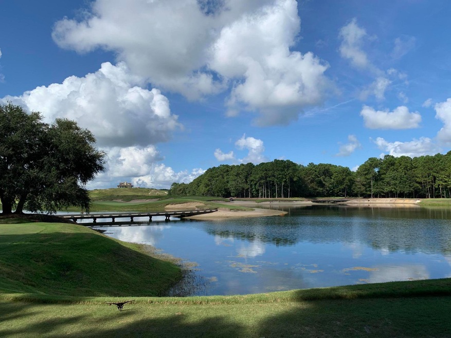 855 Bulls Bay Blvd, Mount Pleasant, SC 29429 - photo 1