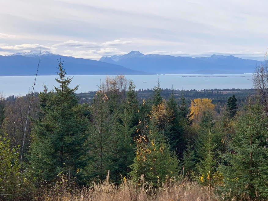 Land View