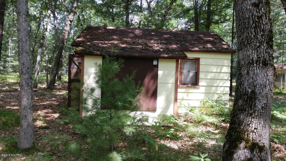 9156 S Taylor, Baldwin, MI 49304 - photo 1