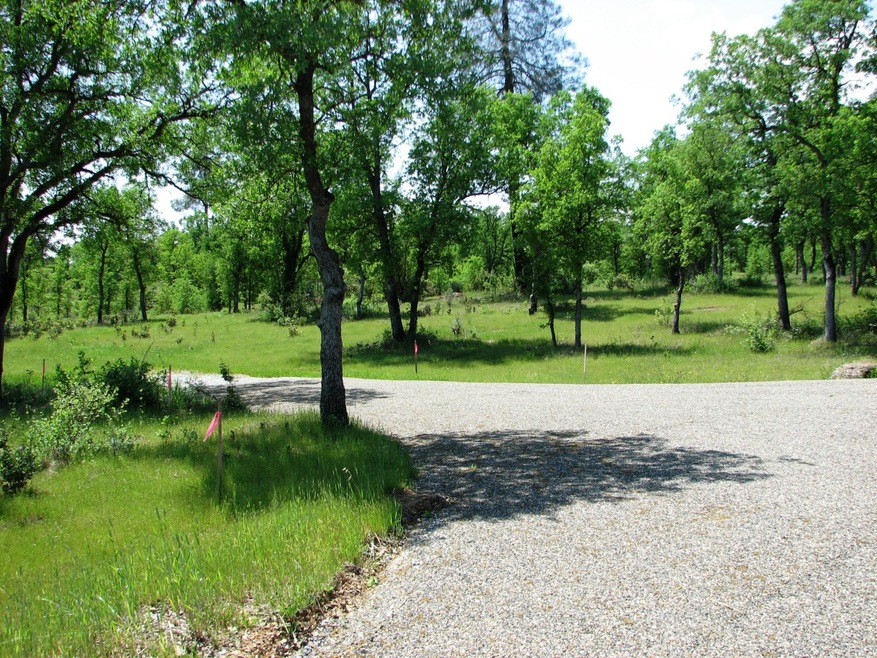 Entry road