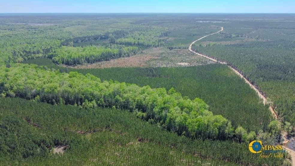 0 Old Cc Rd, Cassatt, SC 29032 - photo 1