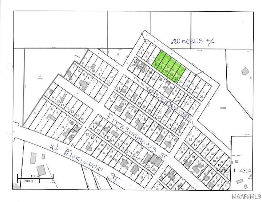 Lots 17-21 Franklin St, New Brockton, AL 36351 - photo 1