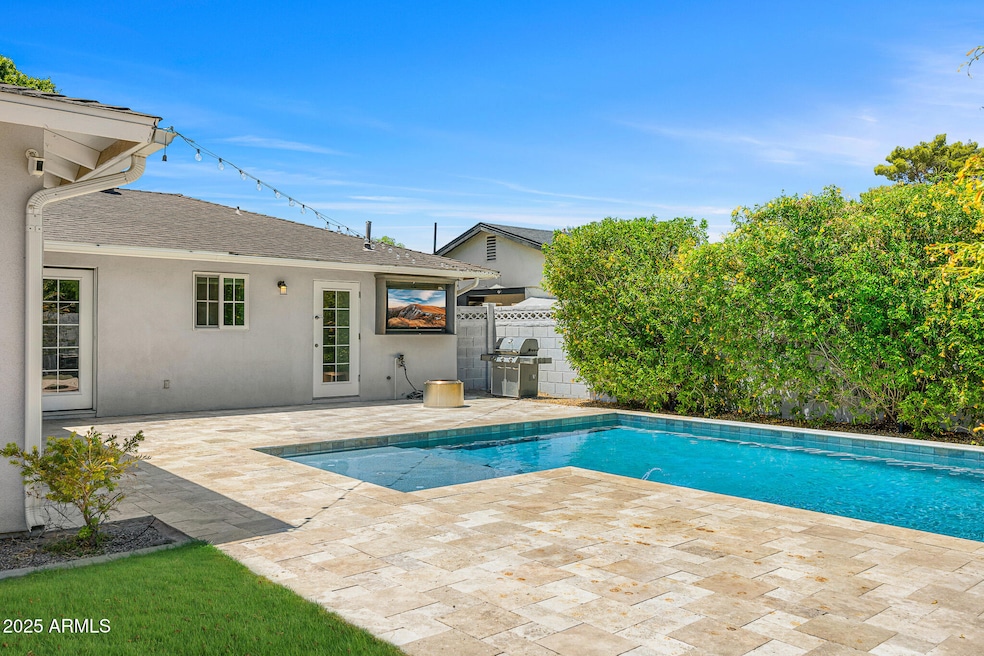 Backyard Pool and Lounge
