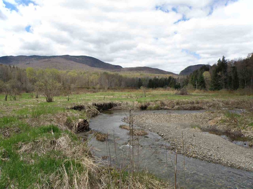 Haystack Mountain Forest â€“ to the left â€“ is pa