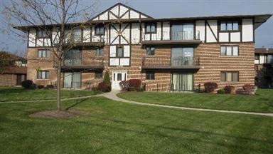 11045 S Theresa Cir unit 1B, Palos Hills, IL 60465 - photo 1