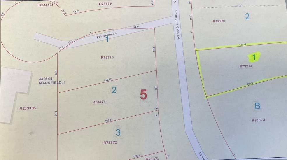 28410 Champion Oaks Dr, Magnolia, TX 77354 - photo 1