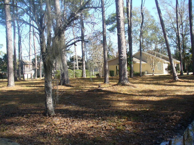 Main View