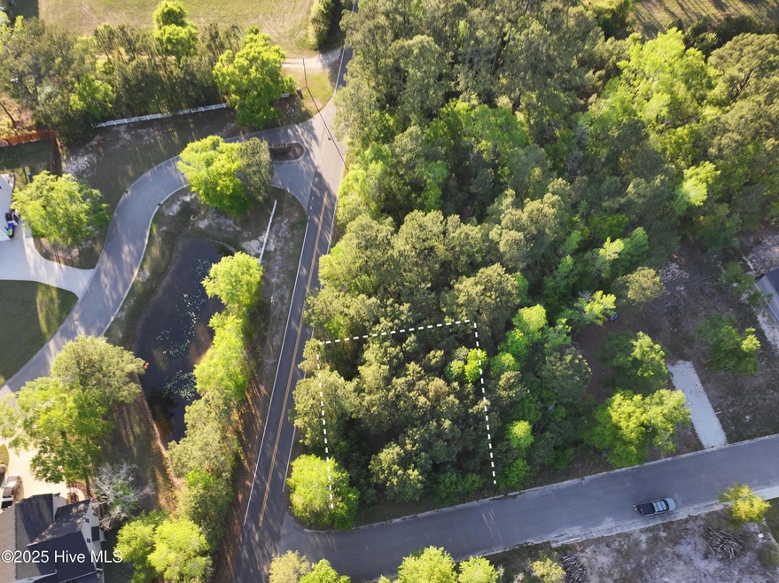 7203 Sloop Lane Aerial