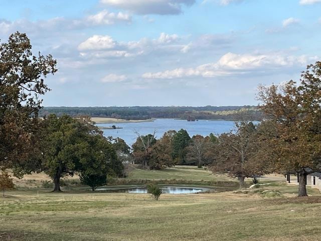 6264 Overlook Point, Athens, TX 75752 - photo 1