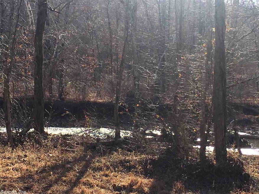 River view from property