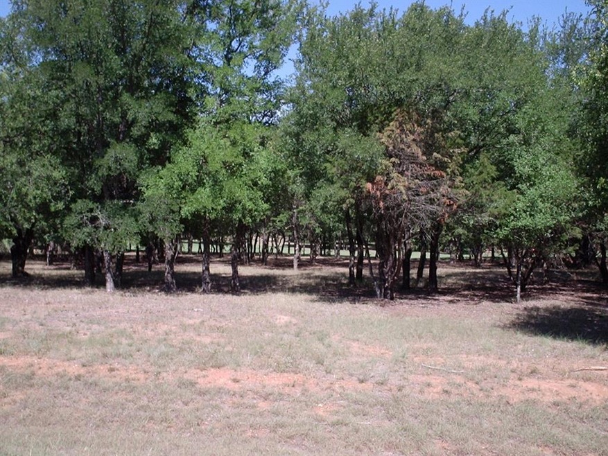 17139 Woodlawn Dr, Whitney, TX 76692 - photo 1