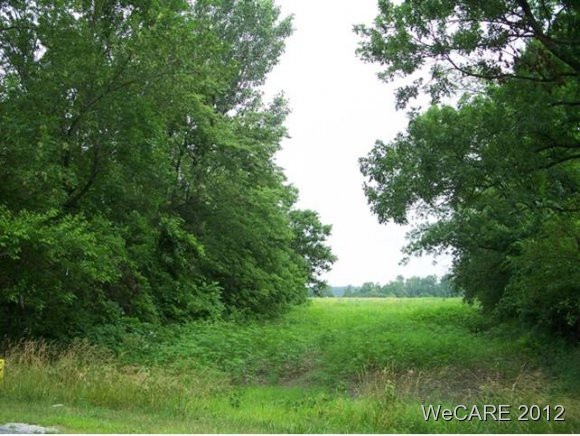 unlisted-address, Wapakoneta, OH 45895 - photo 1