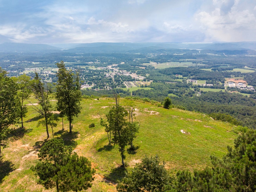 2850 River Bluffs Dr, Jasper, TN 37347 - photo 1