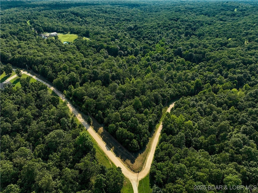 TBD Ogden Ave, Camdenton, MO 65020 - photo 1