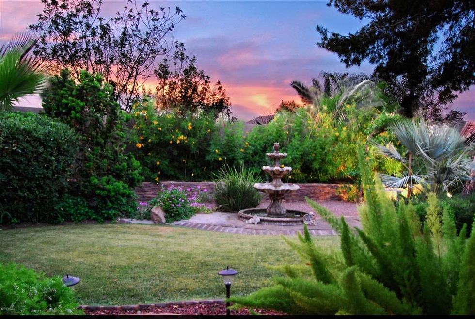 backyard 10