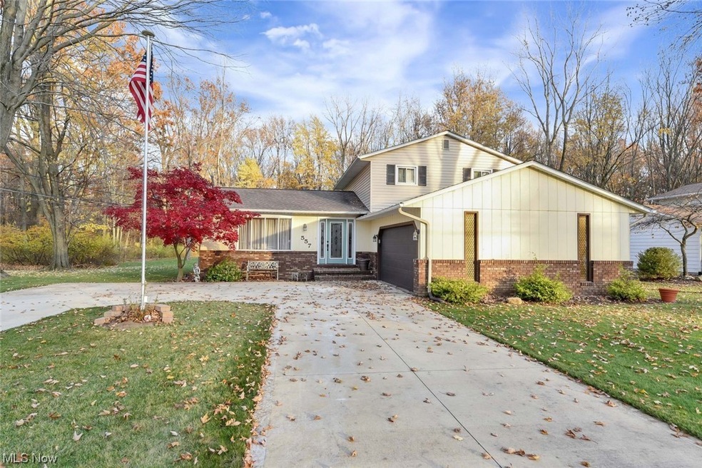 557 Maple Ave, Sheffield Lake, OH 44054 - photo 1