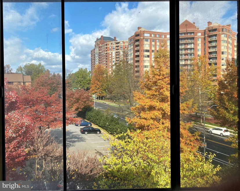 11409 Commonwealth Dr unit 303, Rockville, MD 20852 - photo 1