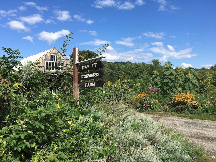 And some of the flower gardens.