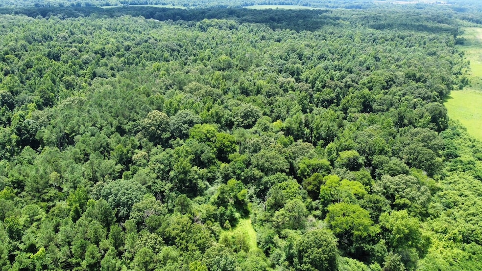 + - 58 Acres unit Holmes County MS, Lexington, MS 39095 - photo 1