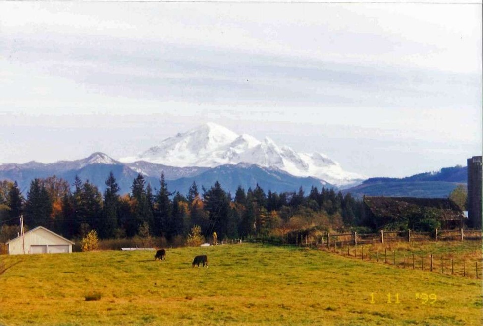 5445 Noon Rd, Bellingham, WA 98226 - photo 1