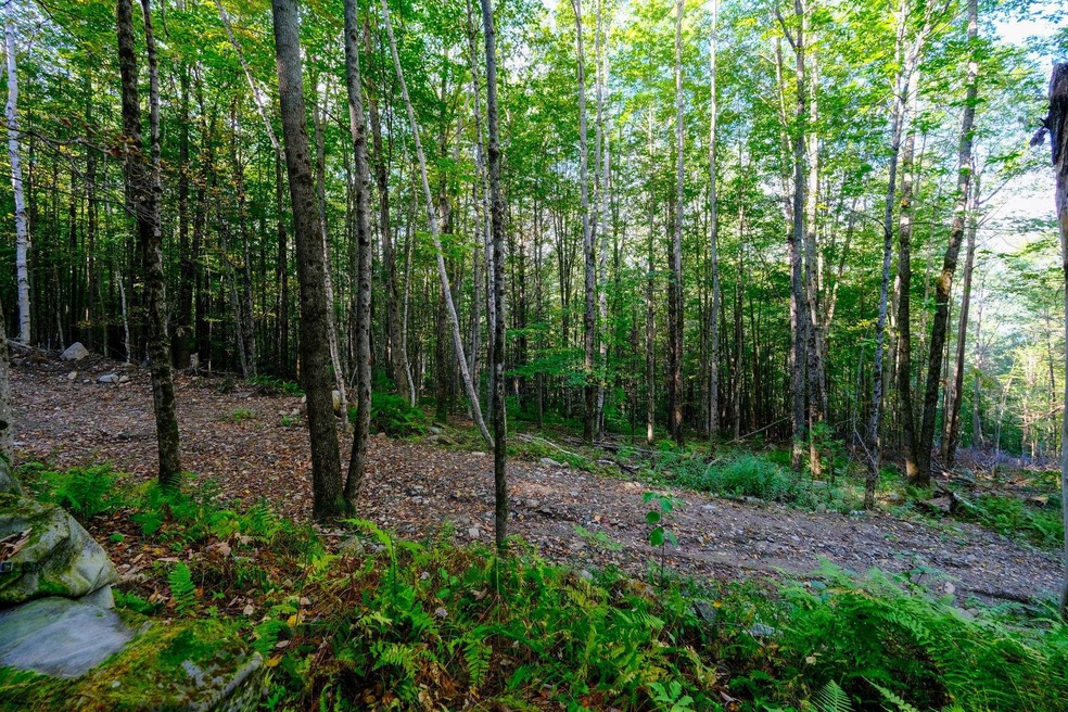 478 E Lake Rd, Ludlow, VT 05149 - photo 1