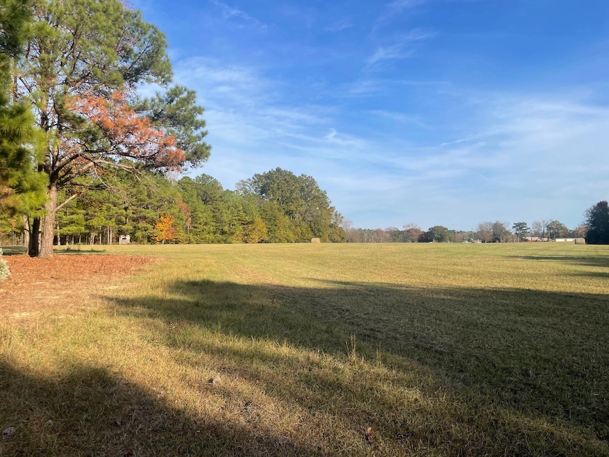 County Road 69, Selma, AL 36701 - photo 1