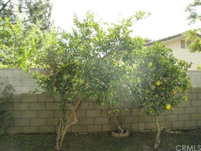 1894 Sheridan Rd, San Bernardino, CA 92407 - photo 1