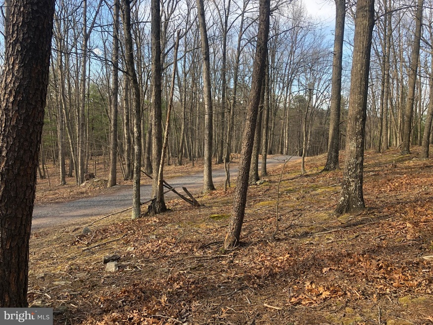 0 Little Cacapon Mountain, Gore, WV 26704 - photo 1