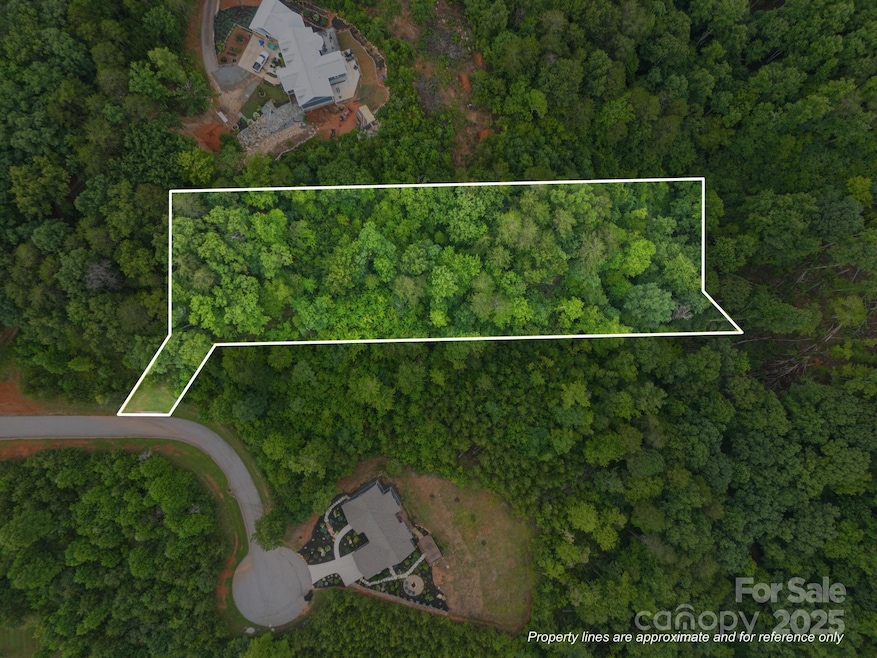 99999 Deer Jump Trail unit 348, Lake Lure, NC 28746 - photo 1