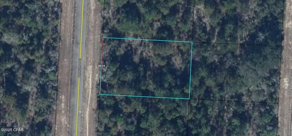 Lot 6 Adirondack Dr, Chipley, FL 32428 - photo 1